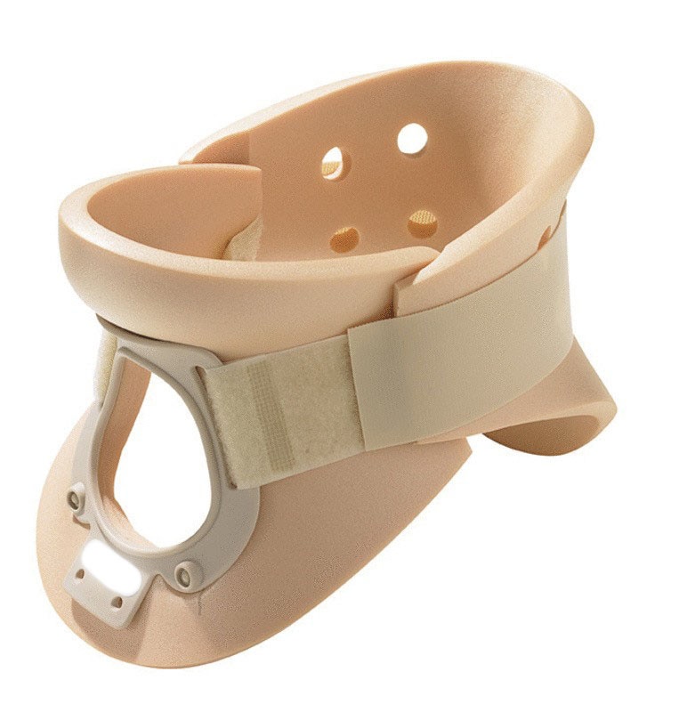 Example of GoVets Cervical Immobilize category