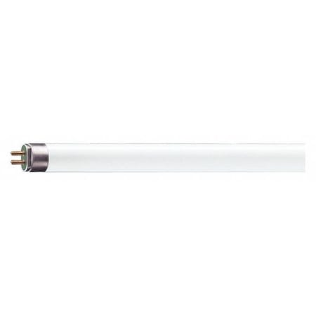Linear Lamp, T5 Bulb Shape, 34