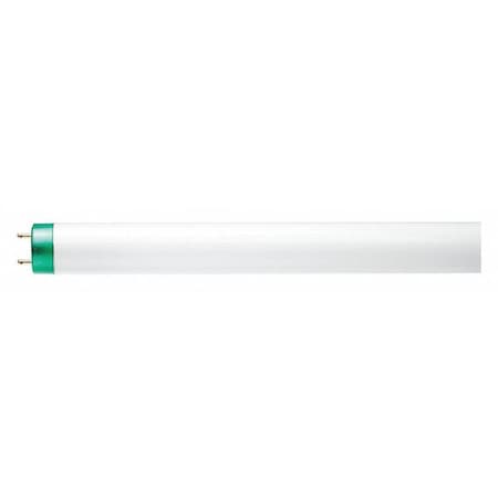 Linear Lamp, T8 Bulb Shape, 36