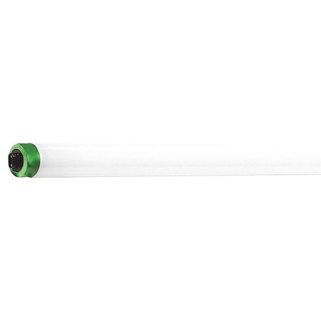 Linear Lamp, T8 Bulb Shape, 96