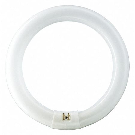 Circular Fluorescent Lamp, 12
