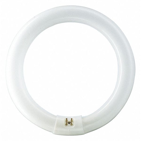 Circular Fluorescent Lamp, 12