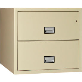 Phoenix Safe 2 Drawer Lateral File Cabinet Letter & Legal Size 31