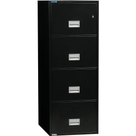 Phoenix Safe Vertical 31
