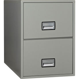 Phoenix Safe Vertical 25