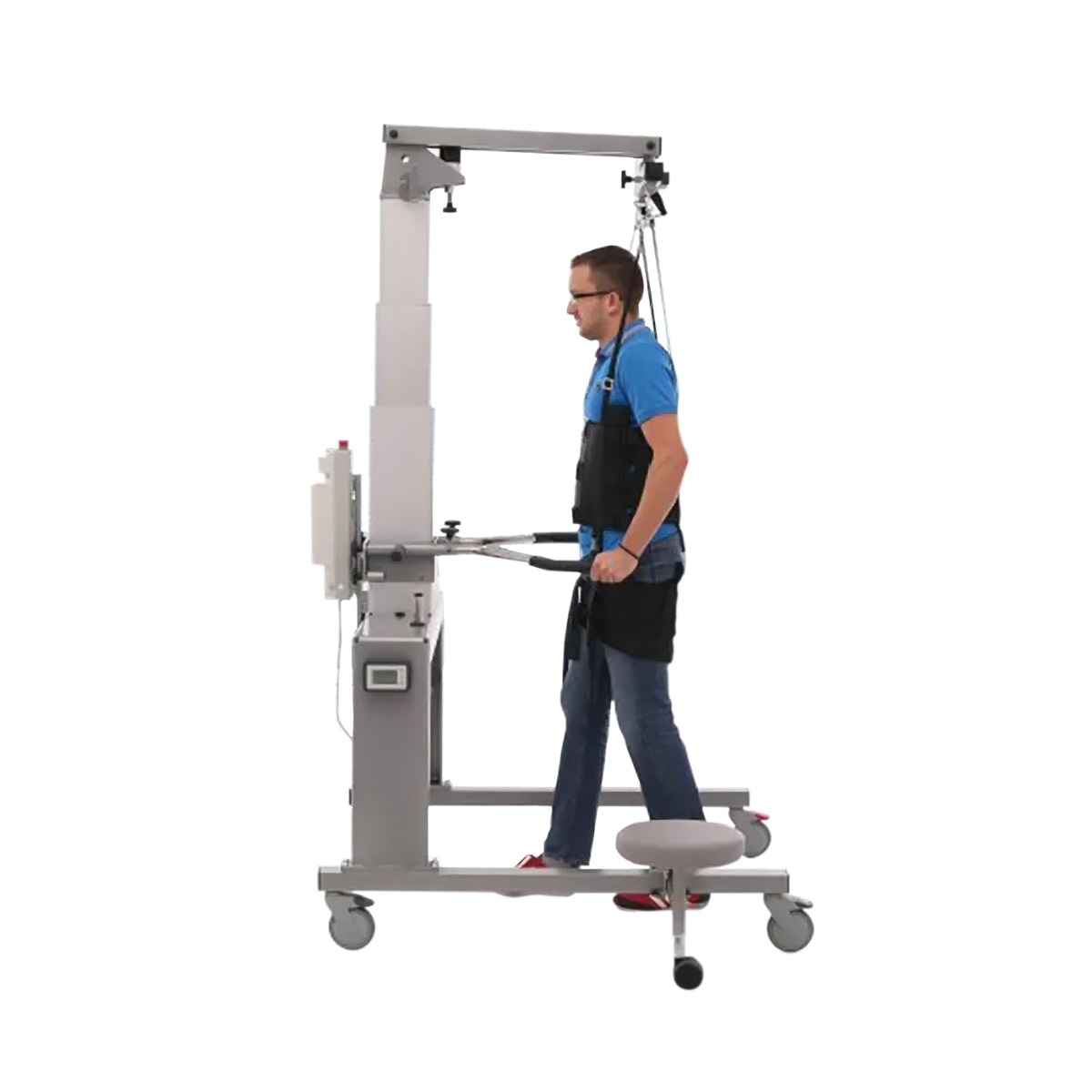 Example of GoVets Physiogait brand