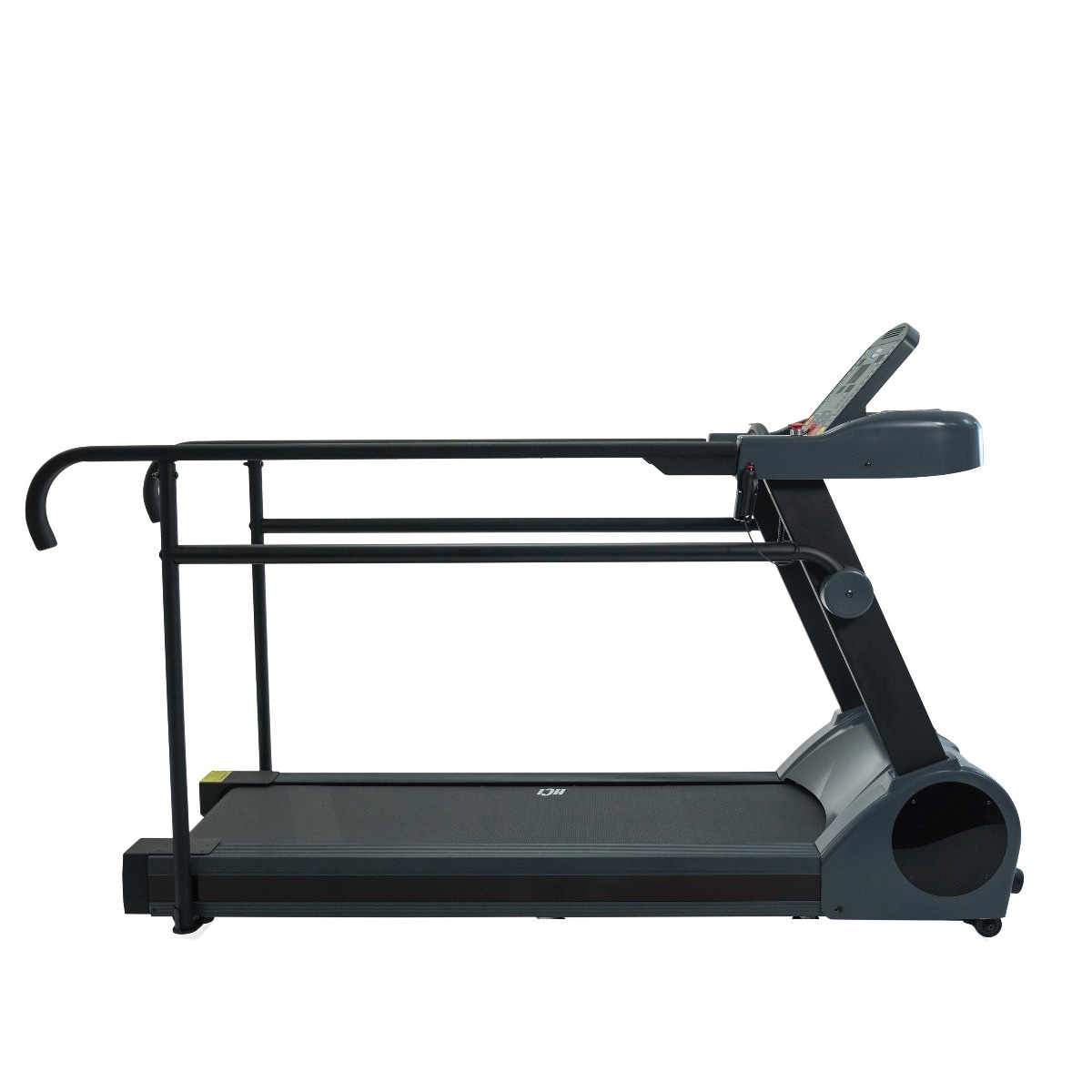 Example of GoVets Standard Treadmills category