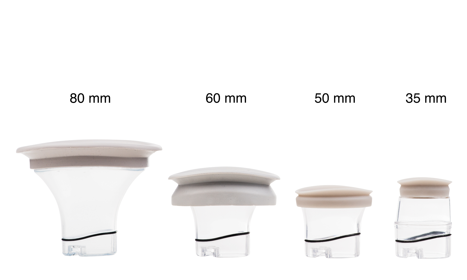 Example of GoVets Physiotouch brand