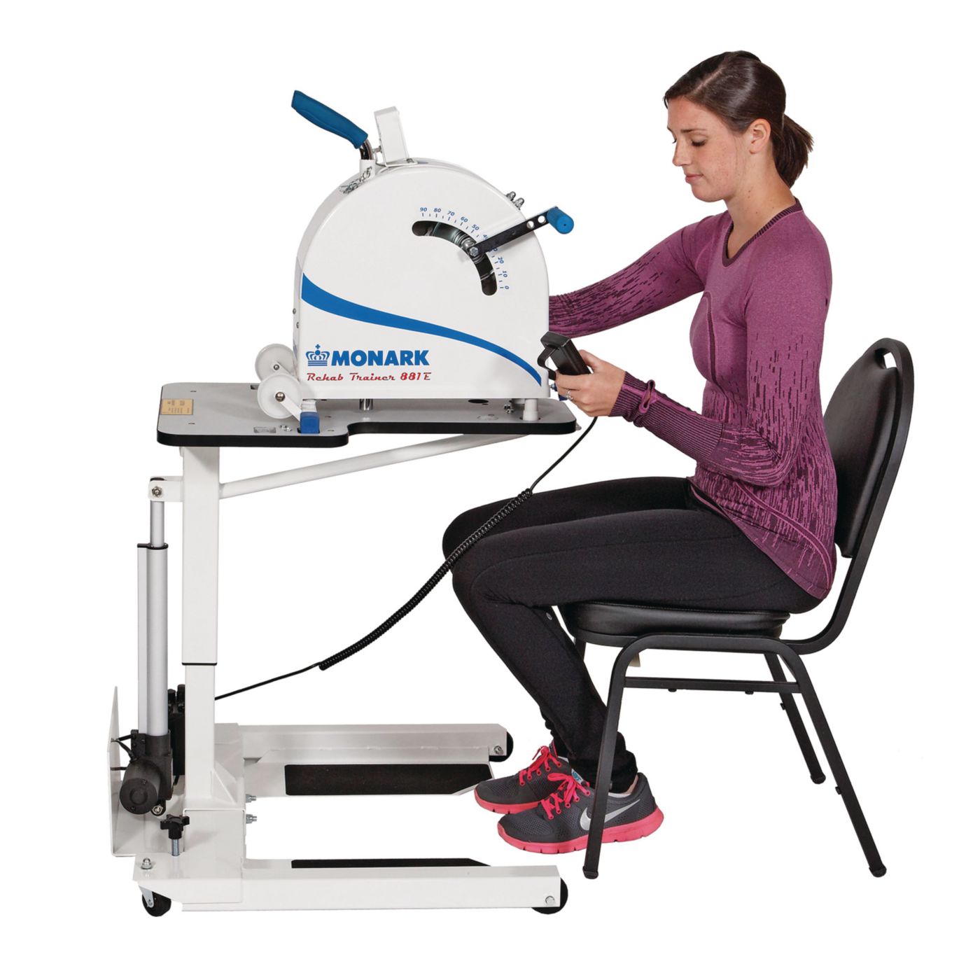 Example of GoVets Physiotrainer category