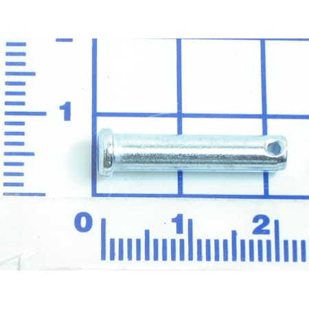 Example of GoVets Pioneer category