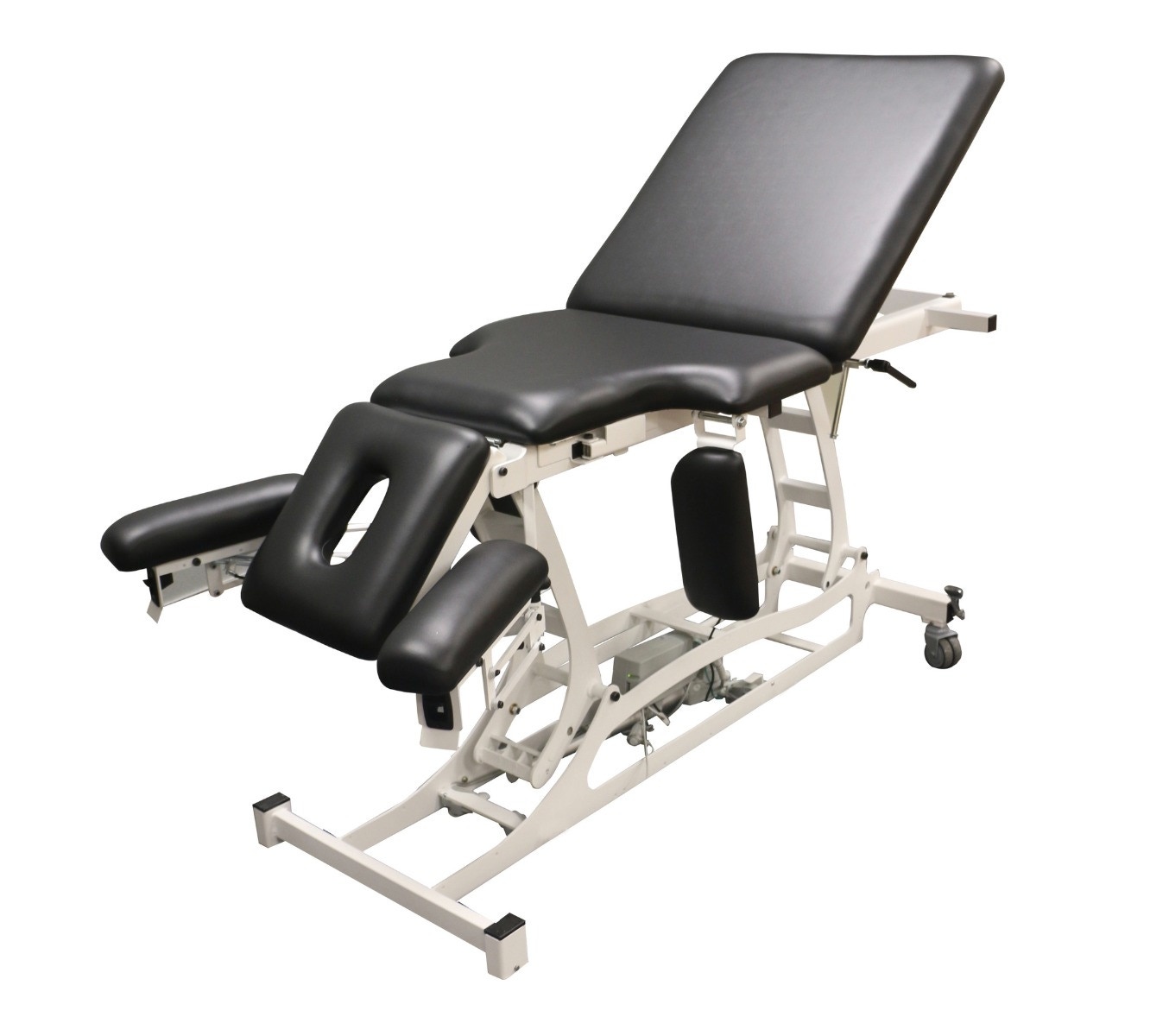 Example of GoVets Pivotal Health category