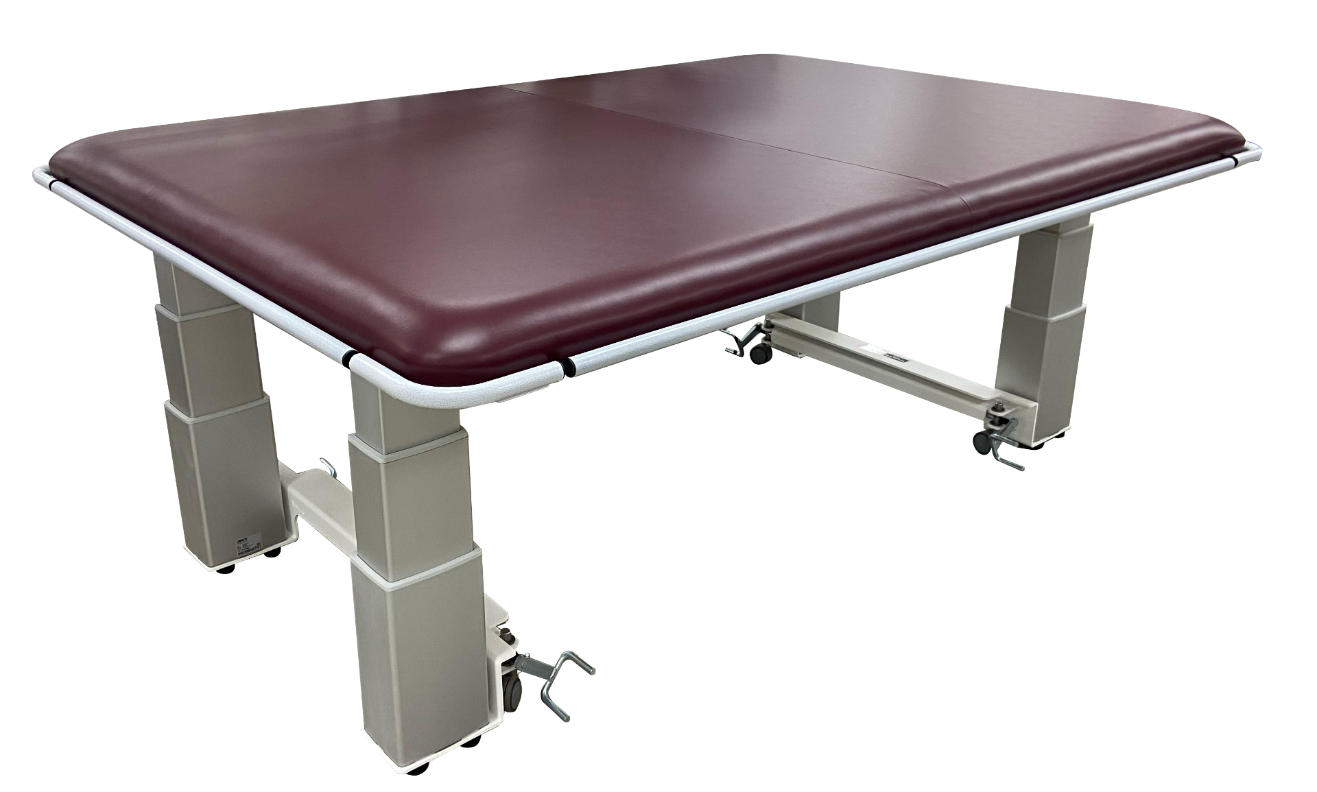 Example of GoVets Pivotal Health category