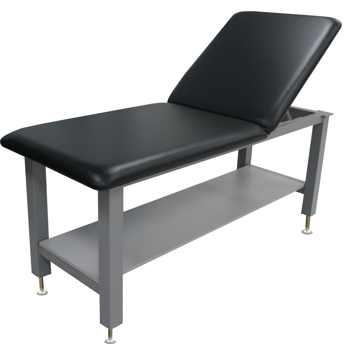 Example of GoVets Mobility category