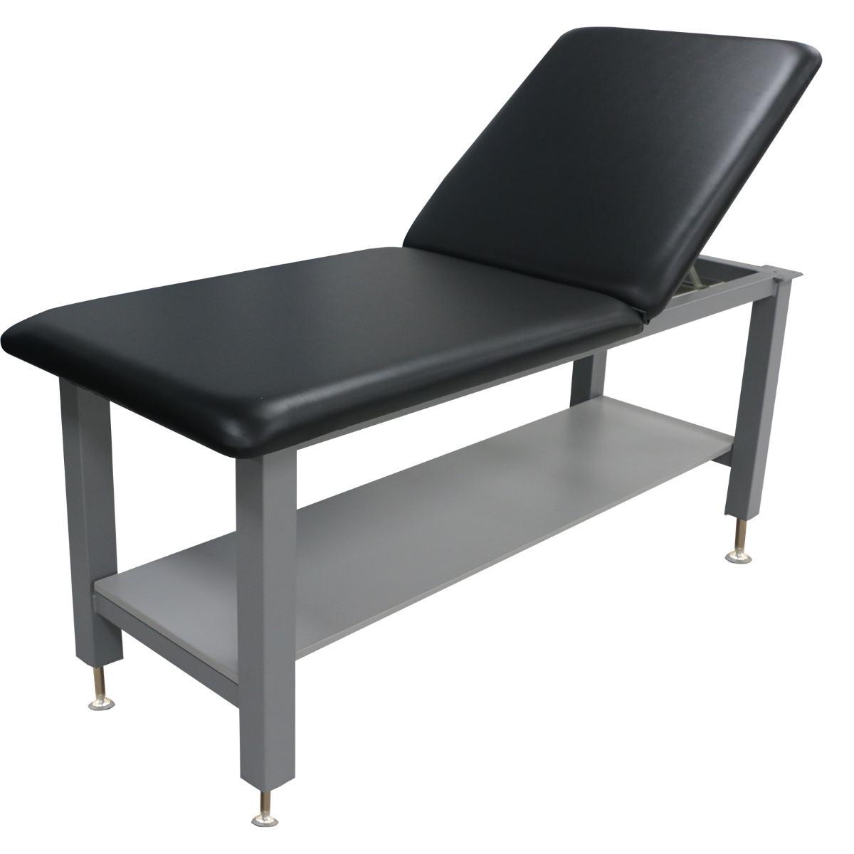 Example of GoVets Mobility category