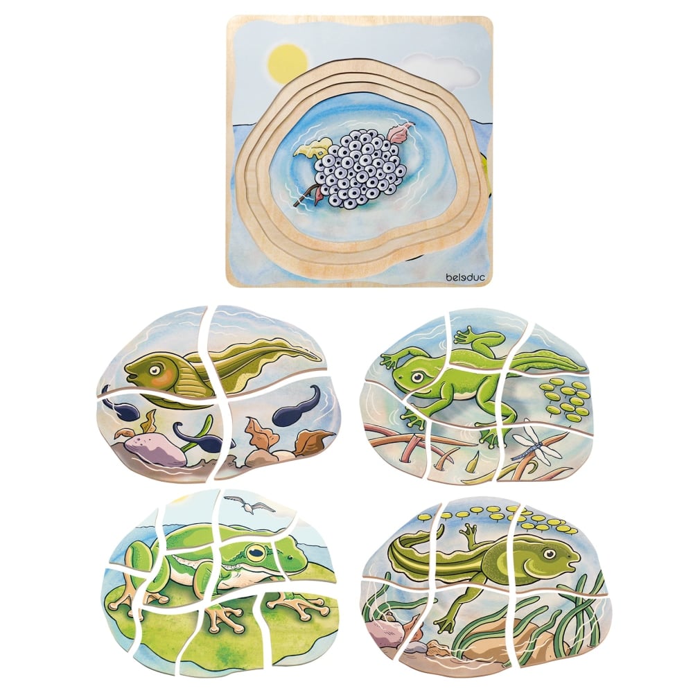 Beleduc Layer Puzzle, Frog MPN:PLWB17053