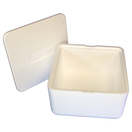 Insulated Shipping Bio Foam & Carton, 1-5 Day, Inside Height: 9 in MPN:250C