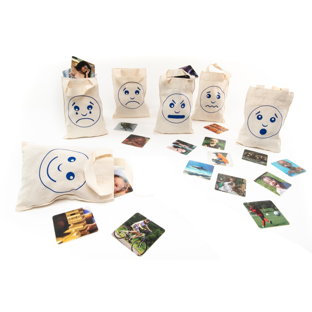 Example of GoVets Polydron brand