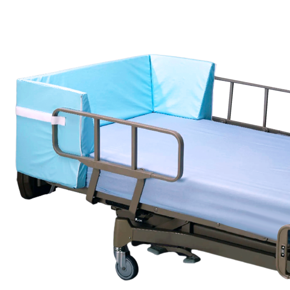 Example of GoVets Posey category