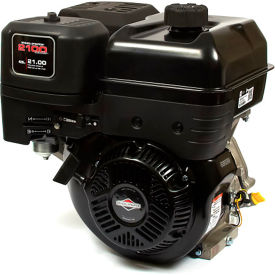 Briggs & Stratton® XR Series™ Horizontal Shaft Engine 420cc 13-1/2 HP 25T232-0037-F1