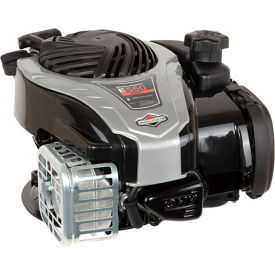 Briggs & Stratton® 550EX Series Vertical Shaft Engine 140cc 4 HP 9P702-0294-F1