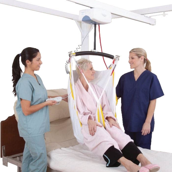 Example of GoVets Prism Medical category