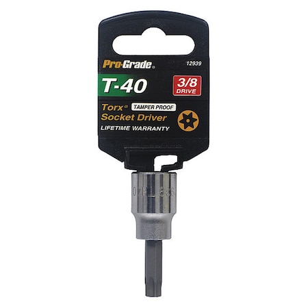 Tamper Proof Torx Socket, 3/8