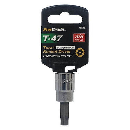 Tamper Proof Torx Socket, 3/8