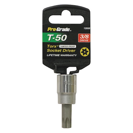 ternal Torx Socket, 3/8
