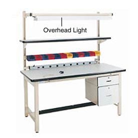 Pro-Line Overhead Light For 60