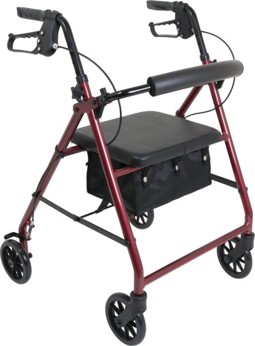 Example of GoVets Probasics category