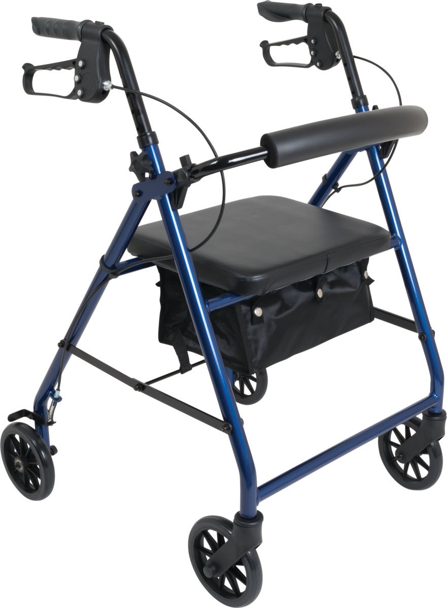 Example of GoVets Probasics category