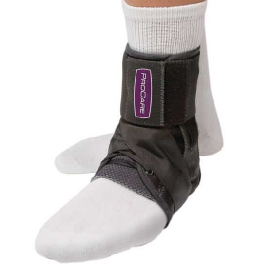 Example of GoVets Procare category