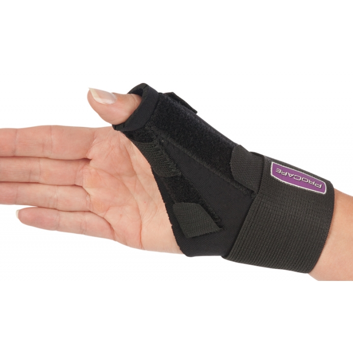 Example of GoVets Procare category