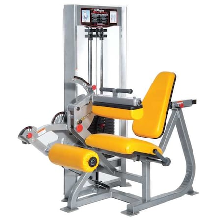 Extension/Seated Leg Curl, 62x45x69 In. MPN:P-5500