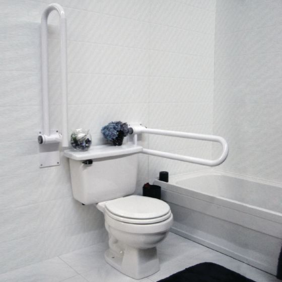 Example of GoVets Wall Grab Bars category