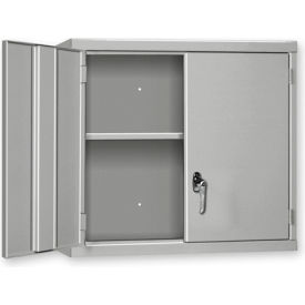 Pucel™ Wall Mount Cabinet 36