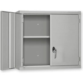 Pucel™ Wall Mount Cabinet 48