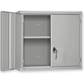Pucel™ Wall Mount Cabinet 48