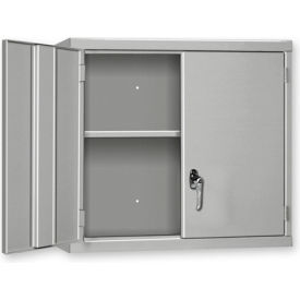 Pucel™ Wall Mount Cabinet 48
