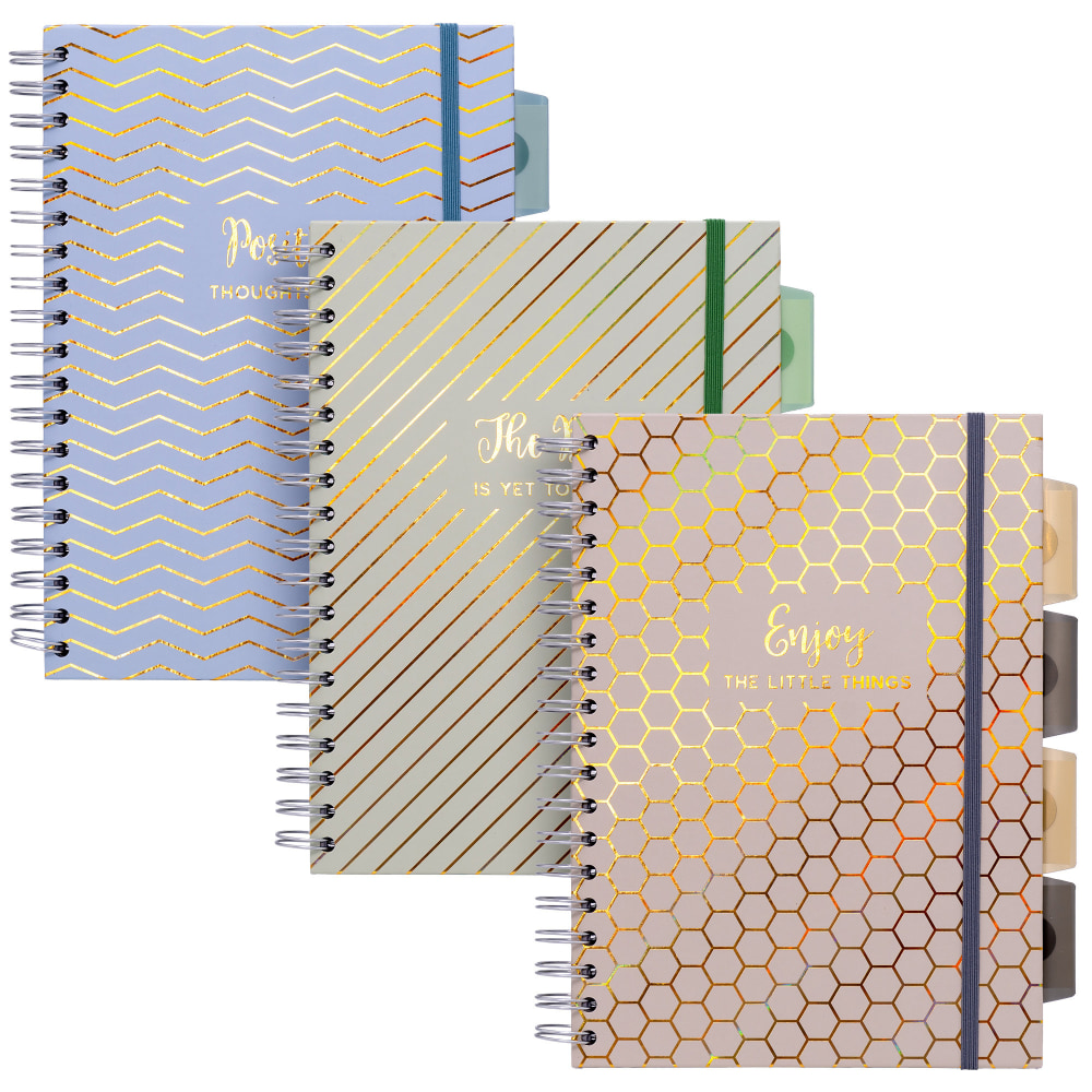 Pukka Pads B5 Project Book, 7in x 10in, 5-Subject, 200 Pages, Assorted Haze, Pack Of 3 MPN:PUK9975ASTHZE