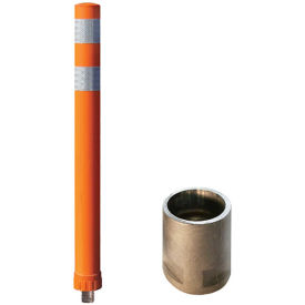 Example of GoVets Delineator Posts category