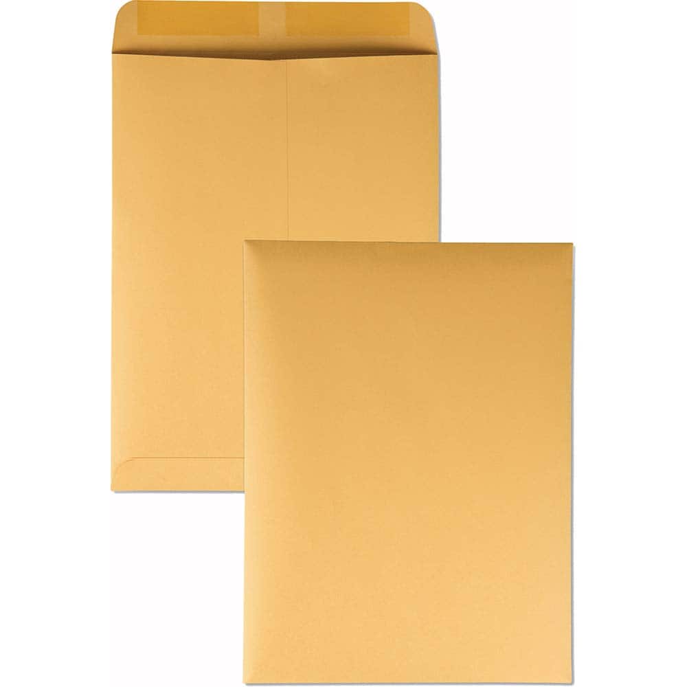 Catalog Envelope Mailer: 12