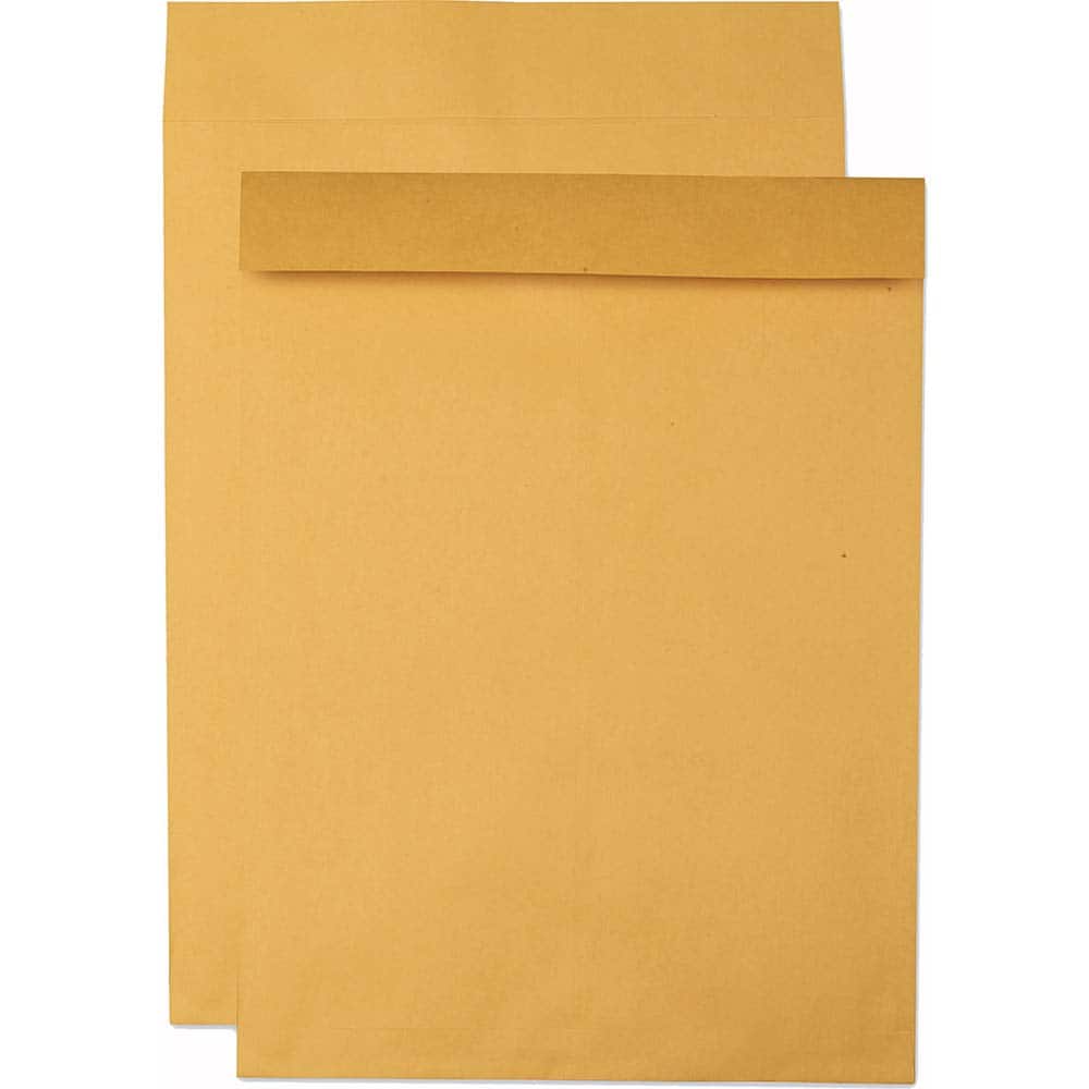 Jumbo Envelope Mailer: 20