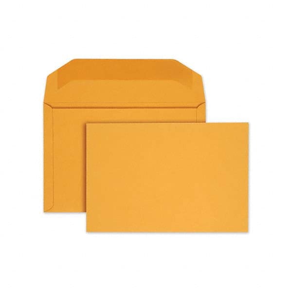 Catalog Mailing Envelope: 10