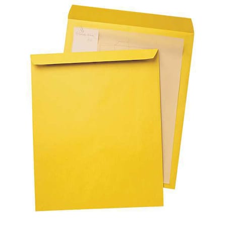 Catalog Envelope, Light Brown, Kraft, PK25 MPN:QUA42353