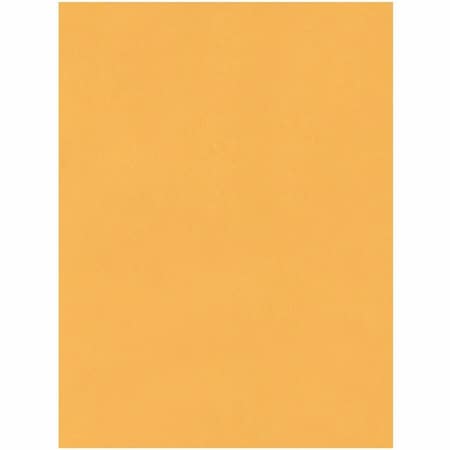 Jumbo Catalog Envelopes, 15