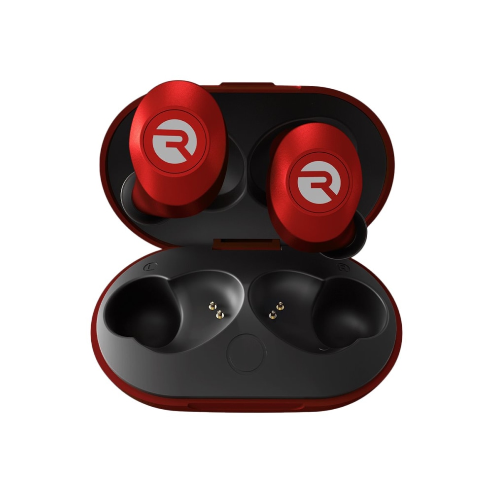 Example of GoVets Raycon Global brand