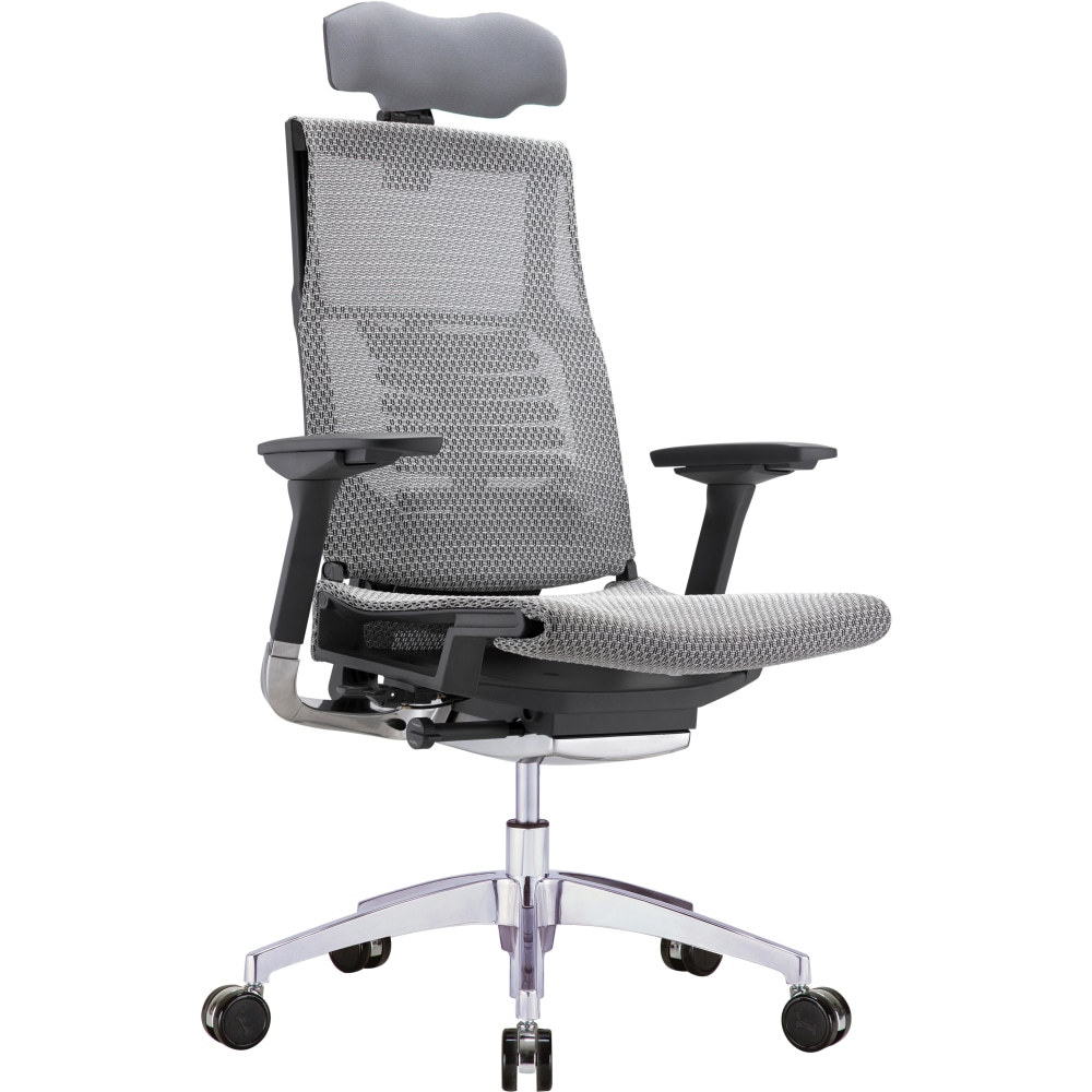 Raynor Powerfit Ergonomic Mesh High-Back Executive Office Chair, Gray/Black MPN:K-PFT2-BLK-MGRY-HDR