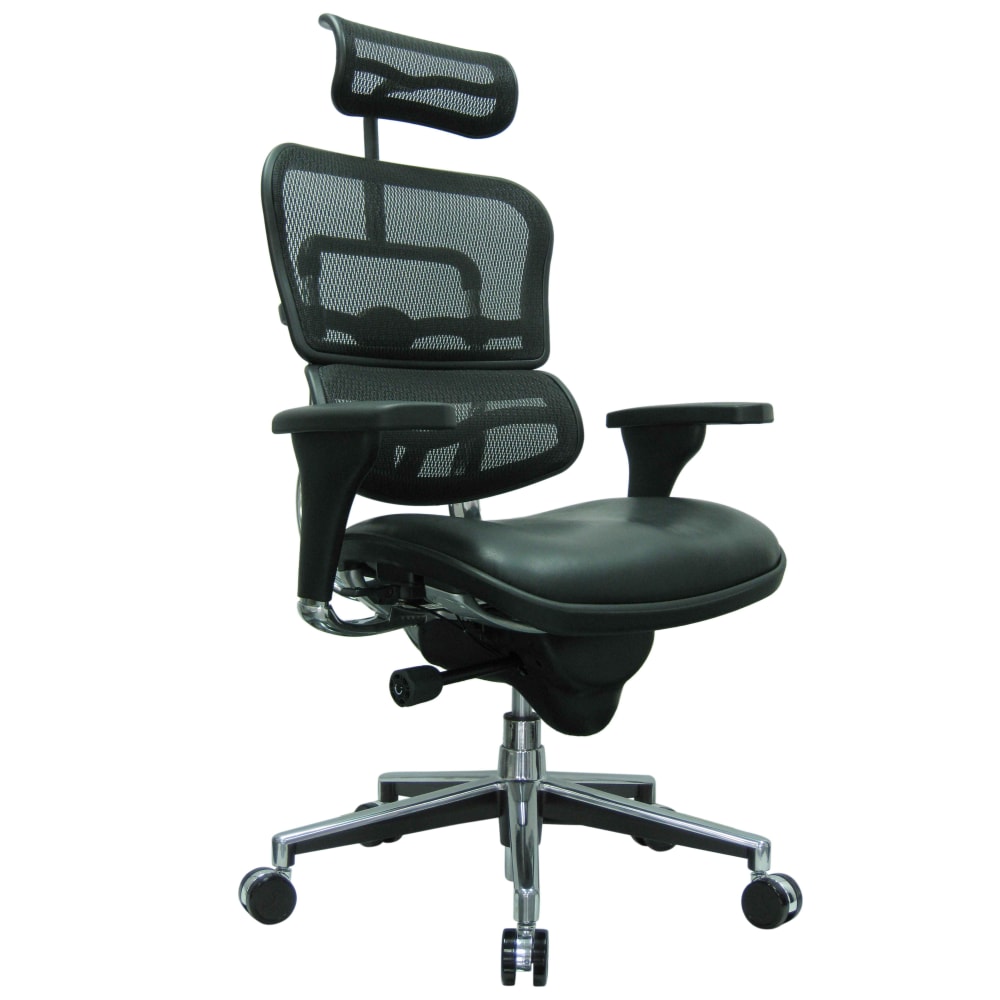 Raynor Eurotech Ergohuman Ergonomic Bonded Leather/Mesh High-Back Chair, Black/Chrome MPN:LEM4ERG