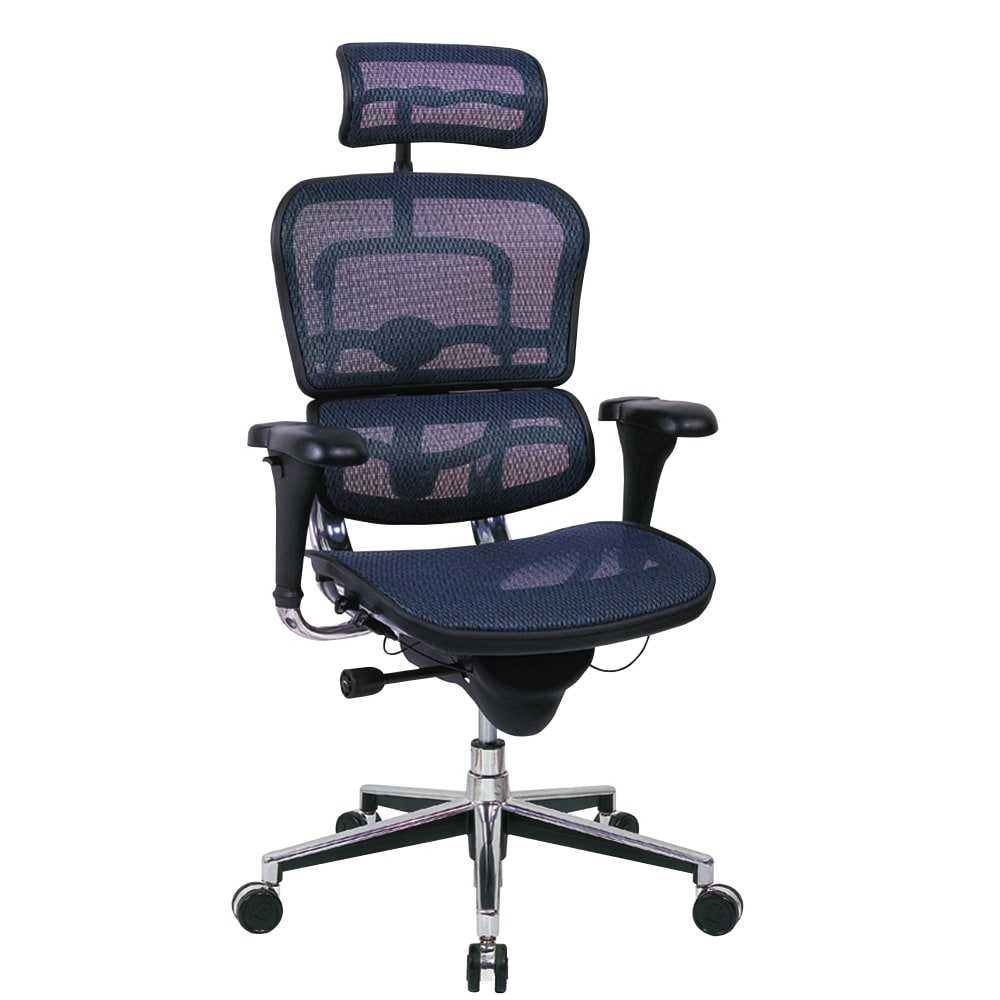 Eurotech Ergohuman High-Back Ergonomic Mesh Chair, Blue/Chrome MPN:ME7ERG-BLUE